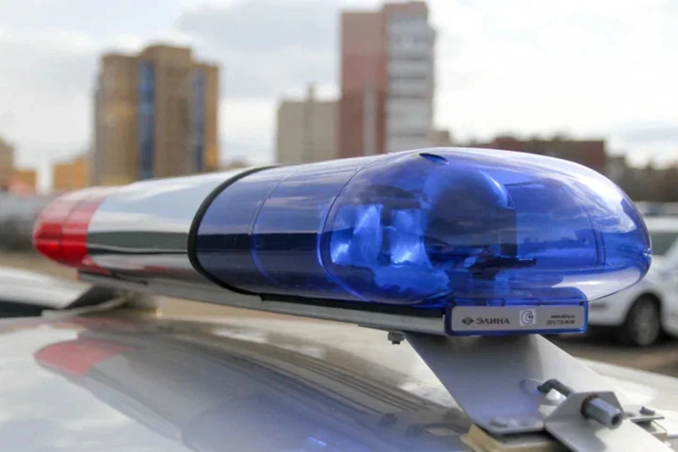 В Беларуси мошенники придумали новую схему с обманом школьников. Снимок носит иллюстративный характер.