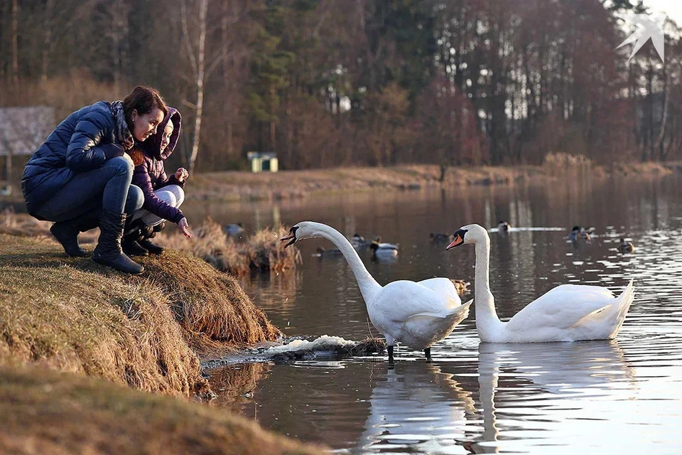 Минтруда объяснило, можно ли оформить трудовой отпуск с выходного дня в Беларуси. Снимок носит иллюстративный характер.
