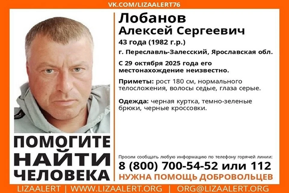 В последний раз Алексея видели 29 октября. Фото: Лиза Алерт Ярославль.