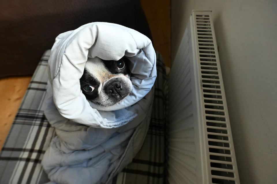 Отопление и горячую воду отключат на 15 часов