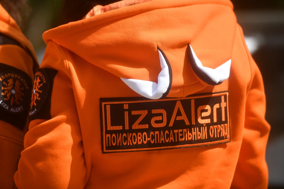 Волонтёры Лиза Алерт.