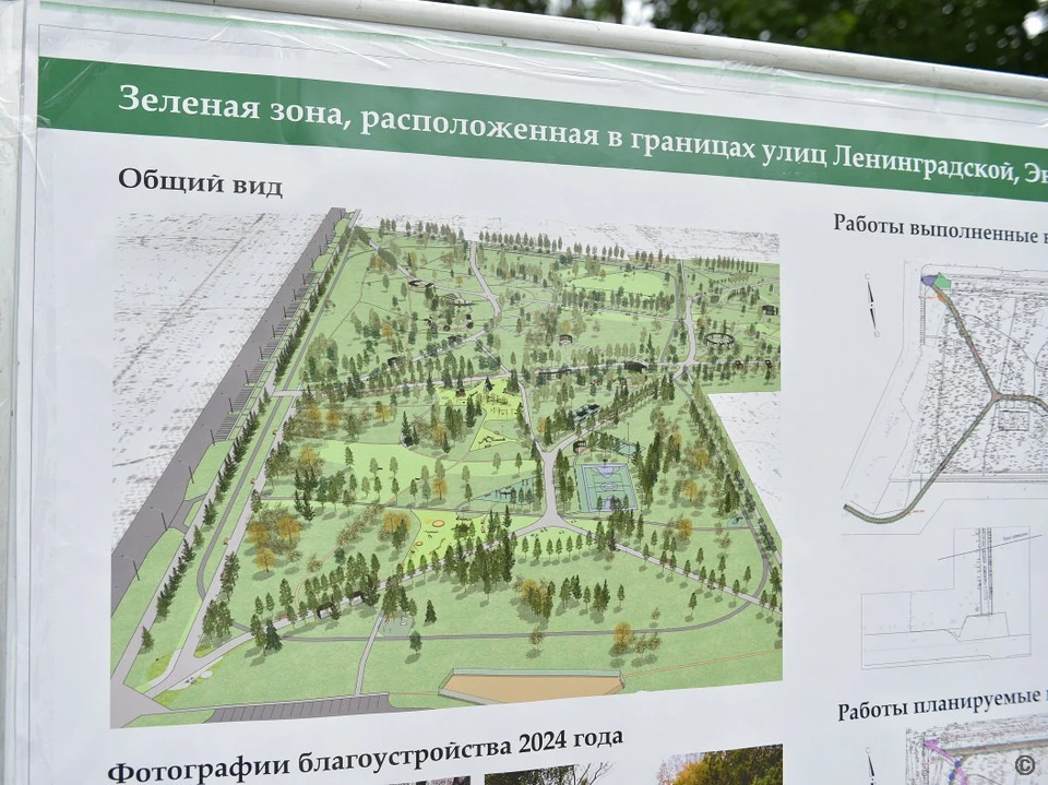 В городе продолжается благоустройство зеленой зоны