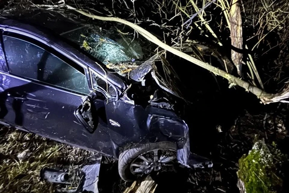 Фото: пресс-служба Госавтоинспекции УМВД России по Костромской области