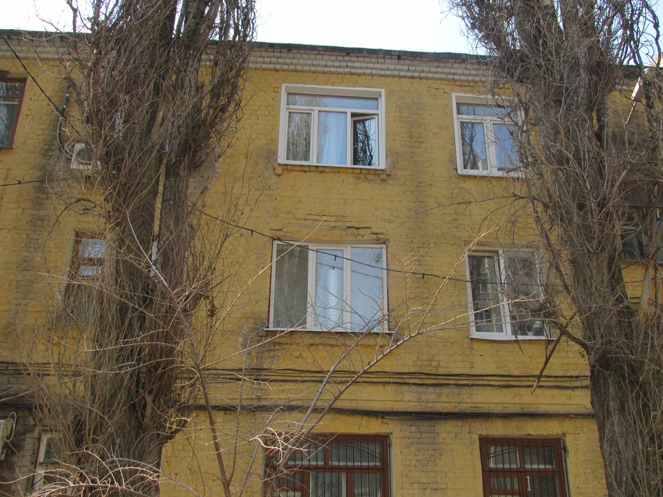 Фото Елены Федяшевой