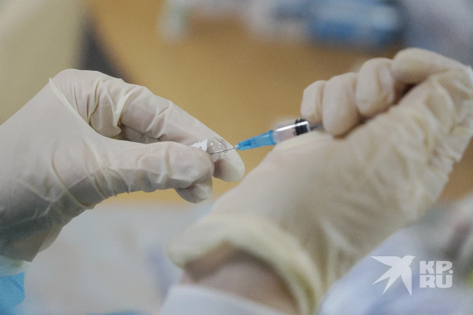 Роспотребнадзор рассказал рязанцам, какие прививки нужно делать взрослым.