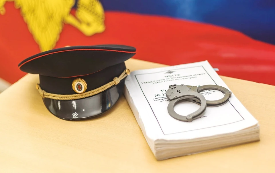 Фото: пресс-служба УМВД России по Костромской области