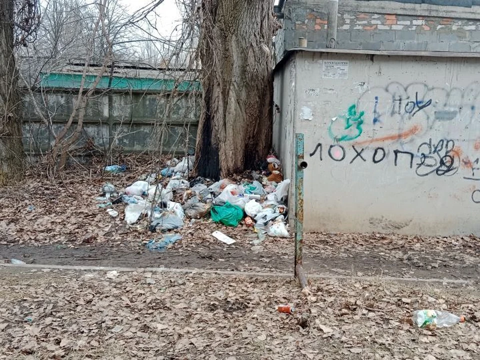 Курян просят сообщать о запрещенных надписях