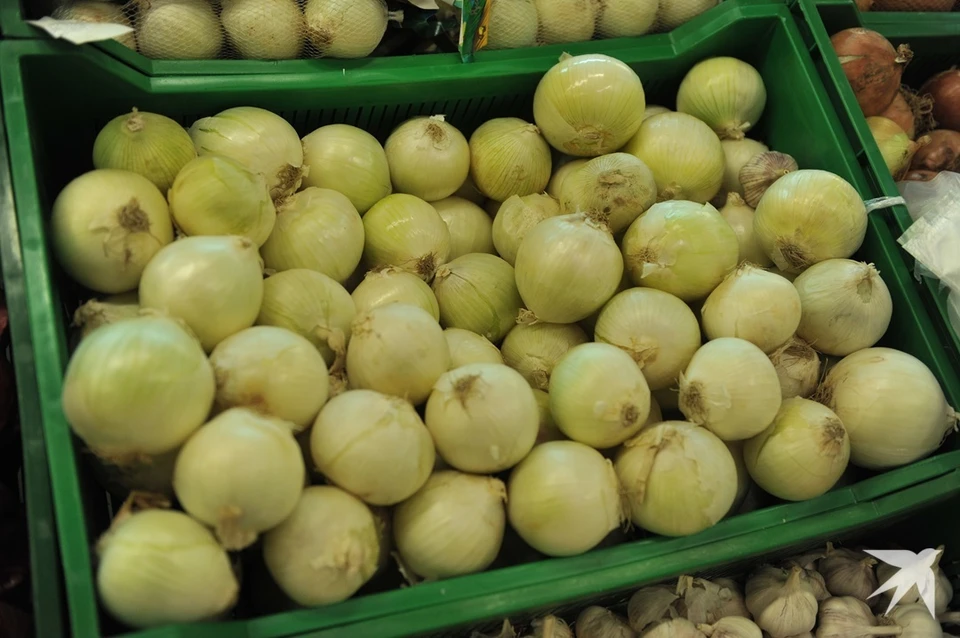 Почти 20 тонн лука привезли из Казахстана не предоставили на проверку