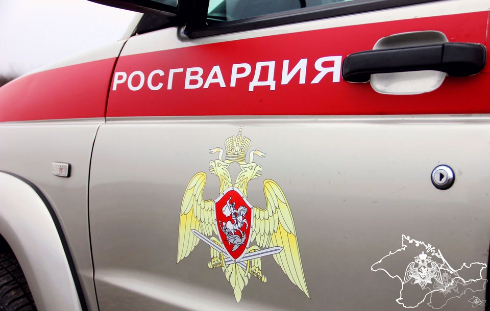 Действиям злоумышленника дадут юридическую оценку. Фото: 82.rosguard.gov.ru