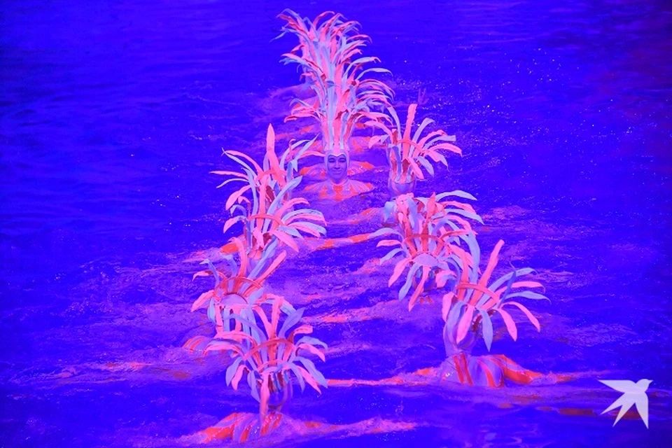 Свердловскую область представят более 270 пловцов-синхронистов