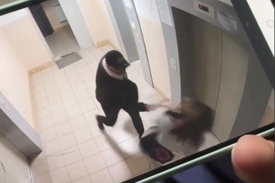 Правоохранители устанавливают все обстоятельства случившегося. Фото: полиция Приморья