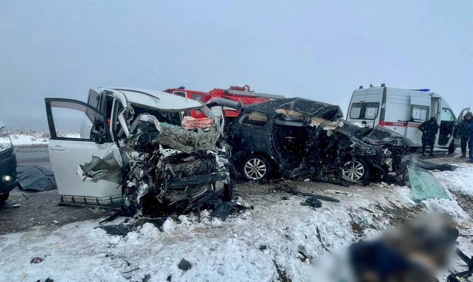Пять человек погибли, ещё пять пострадали при лобовом столкновении авто в Туве. Фото: МВД по Республике Тыва
