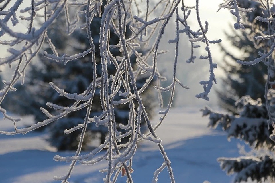 Морозная и сухая погода ожидается в Хабаровском крае 8 ноября
