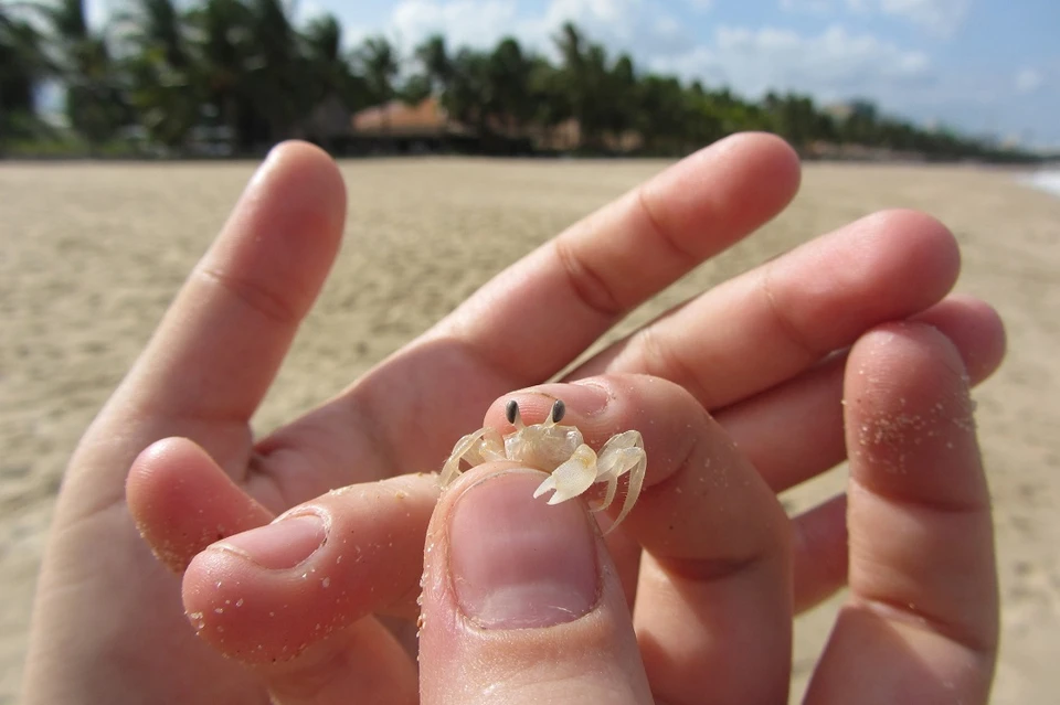 Зимнее расписание аэропорта Иркутска 2025-2026 позволит сибирякам оказаться там, где жаркое лето