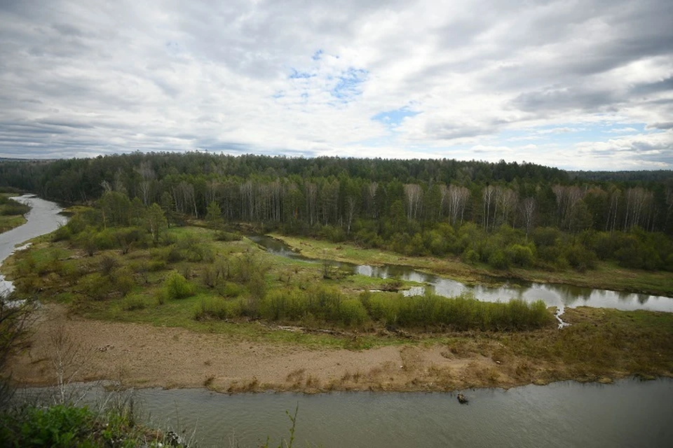 Сброс неочищенных стоков в Амурскую протоку выявили в Хабаровском крае