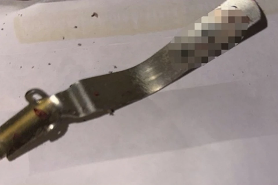 Фото: пресс-служба прокуратуры Брянской области.