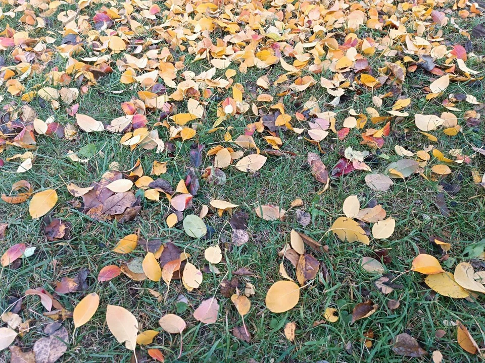 Погода будет теплой.