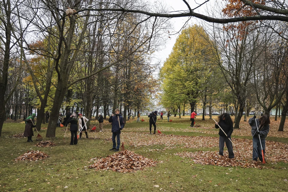 25 октября на уборку вышло около 190 тысяч петербуржцев. Фото: www.gov.spb.ru