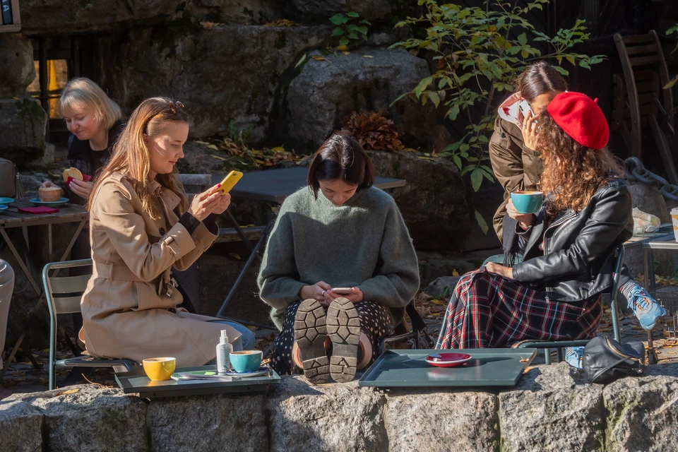 ВЦИОМ: четверть россиян поддерживают ограничения доступа к иностранным сервисам