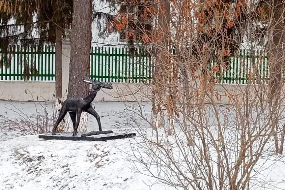 Ветеран СВО подарил музею в Кыштовке скульптуру лосенка. Фото: группа «Кыштовский район, газета «Правда Севера»»