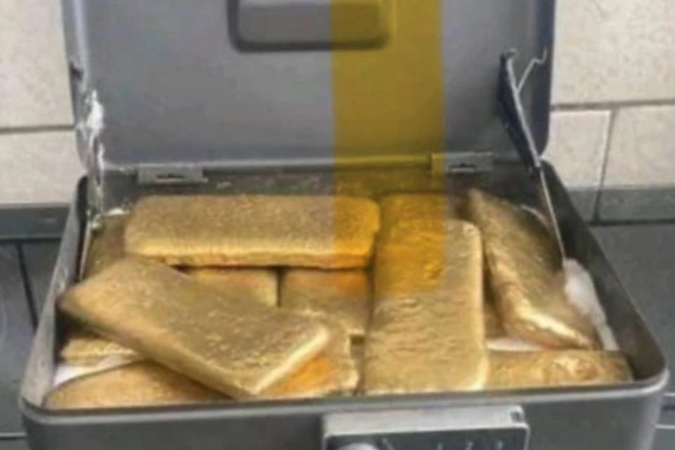 Возбуждено уголовное дело. Фото: t.me/sztproc