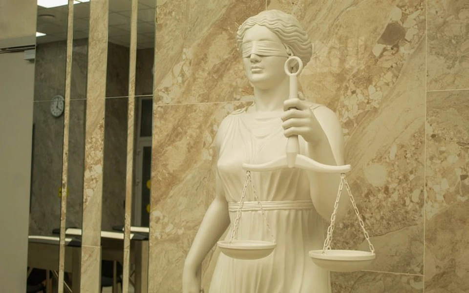 Ответит в суде за фиктивное руководство. Фото: Данил Иванов