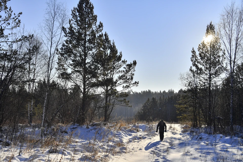 Сначала поиски вели местные жители
