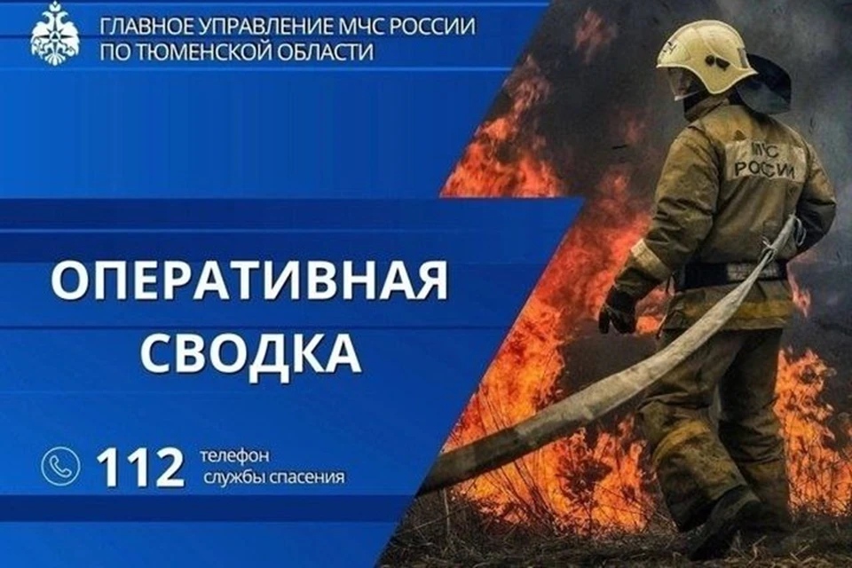 Фото: МЧС России по Тюменской области