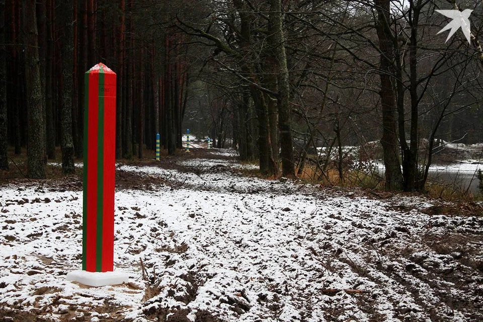 Губернатор Иван Крупко оценил ситуацию в Гомельской области из-за украинского конфликта - около 600 километров пограничья региона приходится на границу с Украиной. Фото носит иллюстративный характер. Фото: Архив "КП"