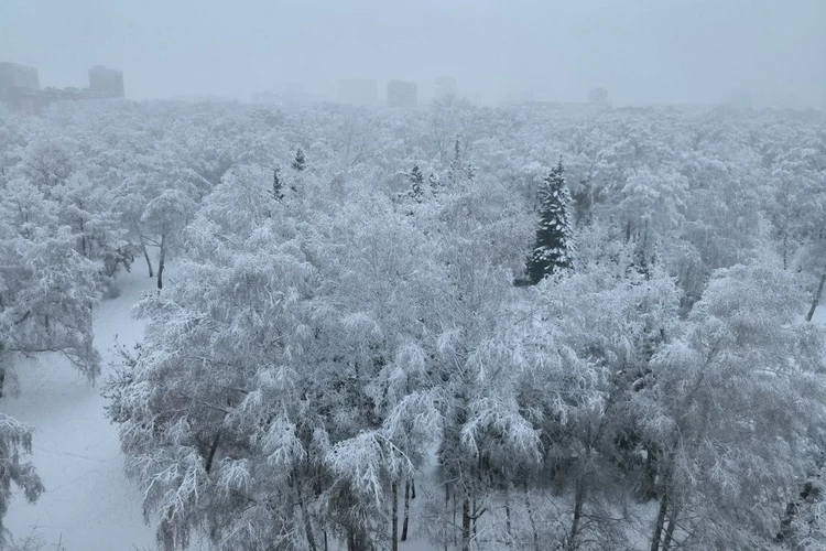 Экстренное предупреждение объявили в Новосибирской области из-за гололеда