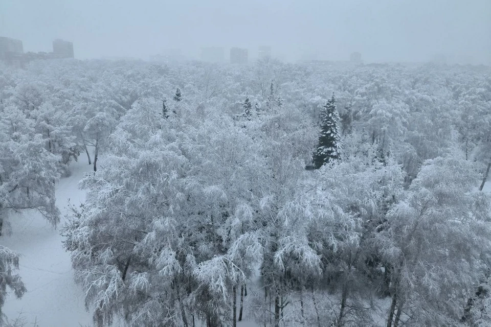 Новосибирцев предупредили о неблагоприятных погодных условиях 10 ноября.