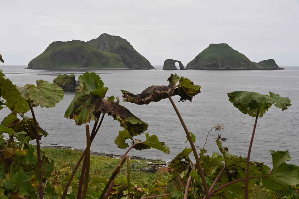 Слова министра Кикавады о России стали причиной громкого скандала: многие увидели намек