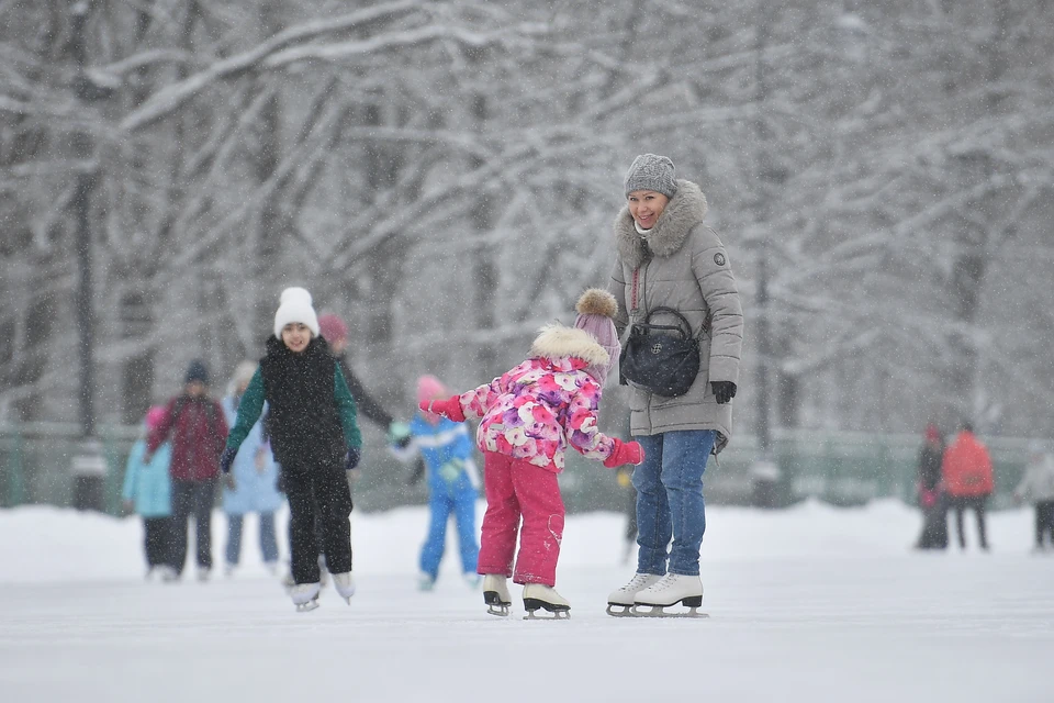 В столице Коми объявили аукцион на обустройство новогоднего катка.