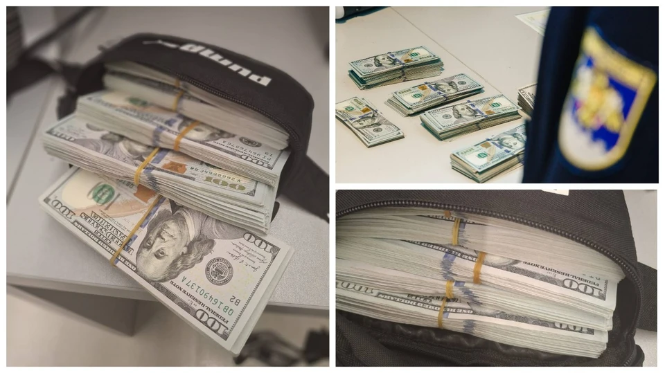 Иностранка пыталась улететь в Париж с $45 тысячами в чемодане. Фото: коллаж КП