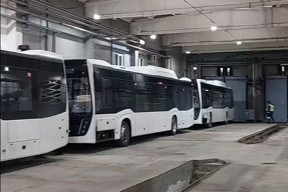 На дорогах они появятся в 2026 году. Фото: Дмитрий Чистяков