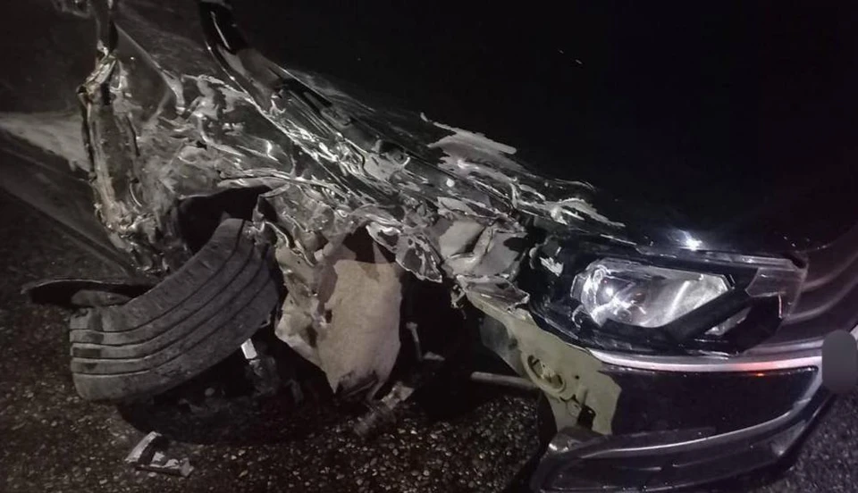 Два человека погибли в аварии в Левокумском округе Ставрополья. Фото: Госавтоинспекция Ставрополья