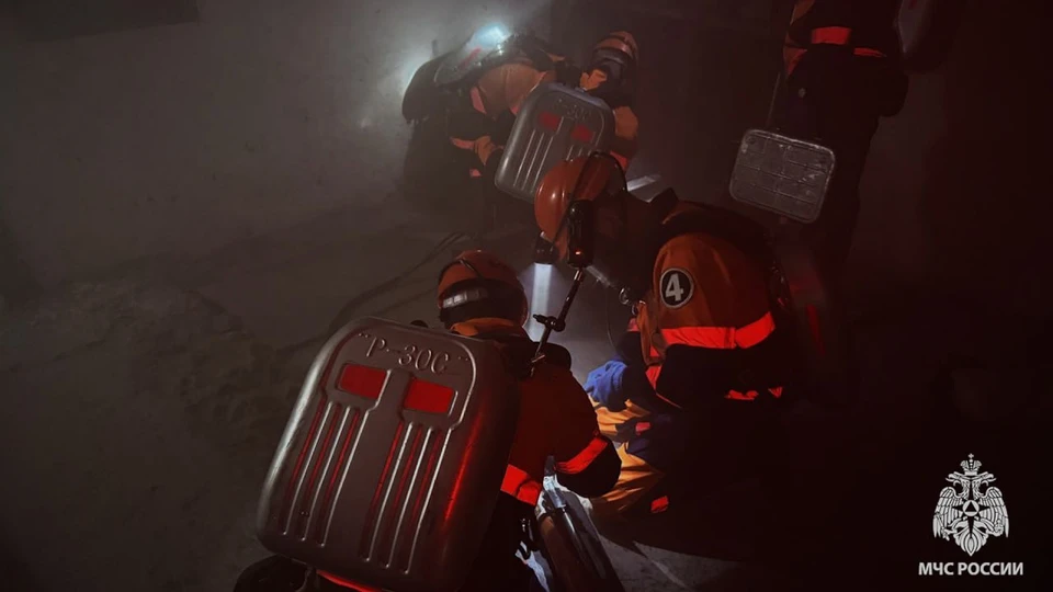 Один человек пострадал на пожарах в ЛНР за сутки. ФОТО: МЧС России