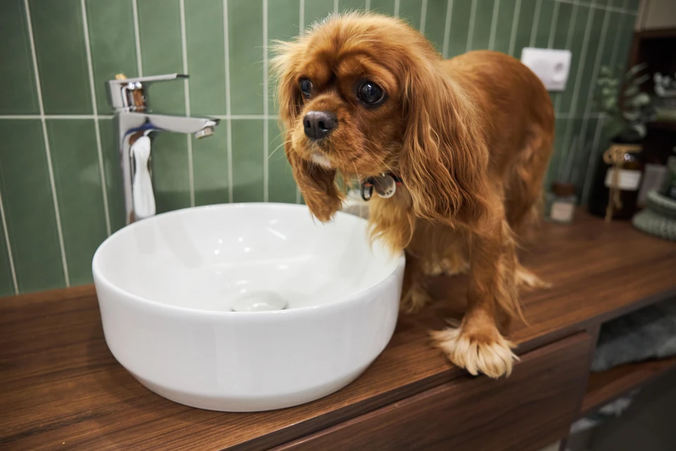 Воду обещают дать в 22:00