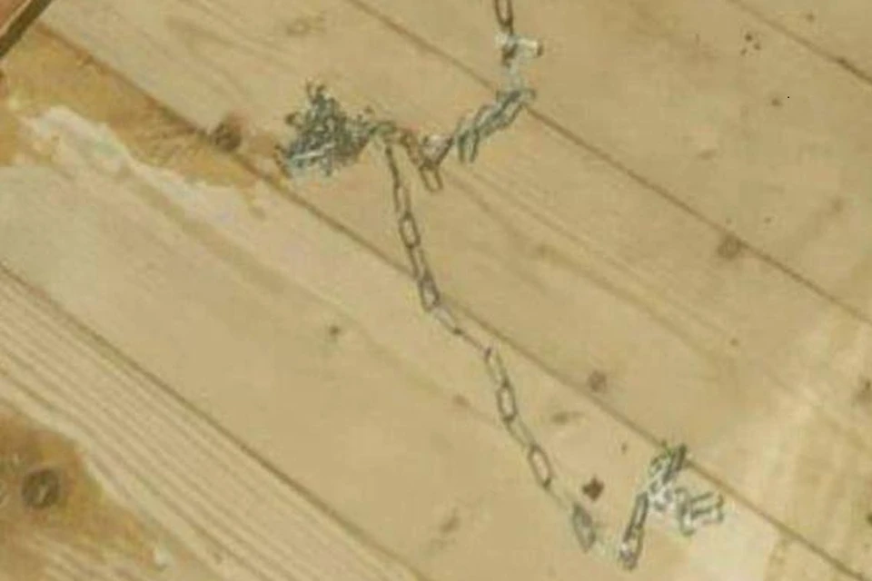 Фото: ПривидеЛося в Telegram