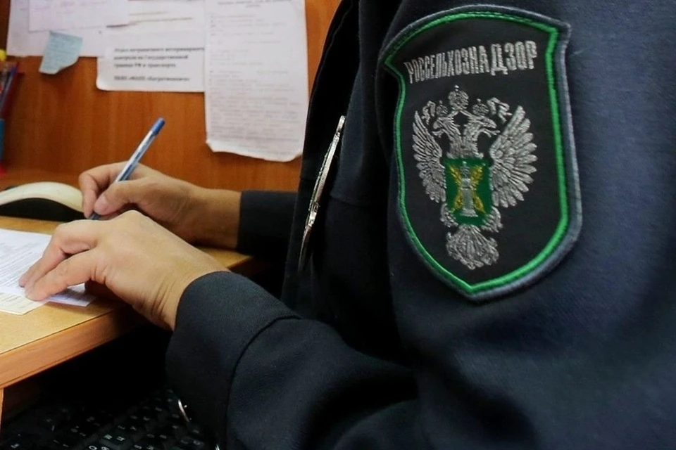 Он проигнорировал штраф за нарушение земельного законодательства, и теперь наказание удвоилось. Фото: Управление Россельхознадзора по Тверской и Ярославской областям.