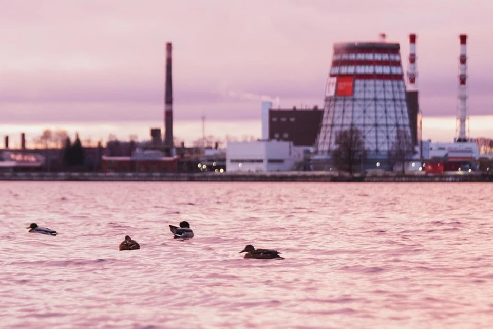 Хорошего дня!