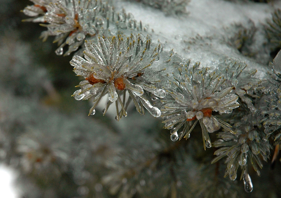 Гололед и ледяной дождь ожидаются в Удмуртии