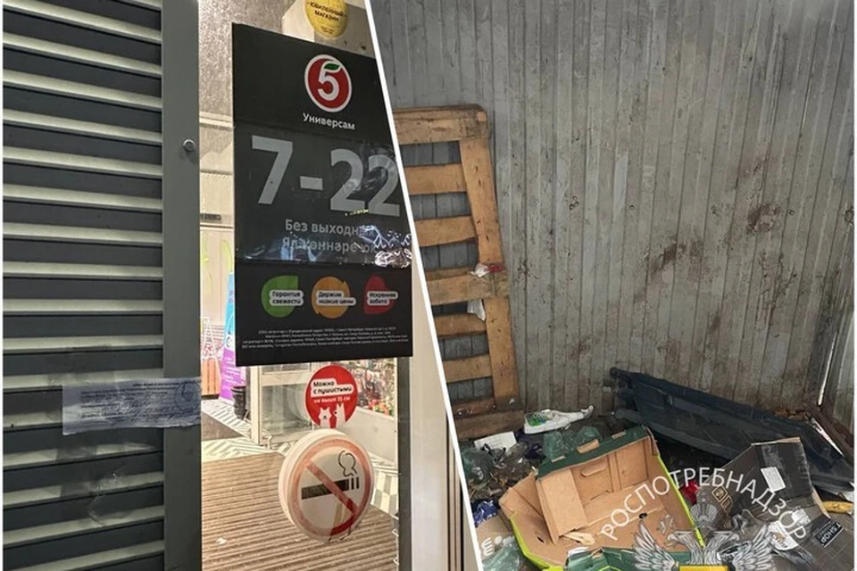 Меры по предотвращению заселения грызунов не соблюдались. Фото: Роспотребнадзор Татарстана