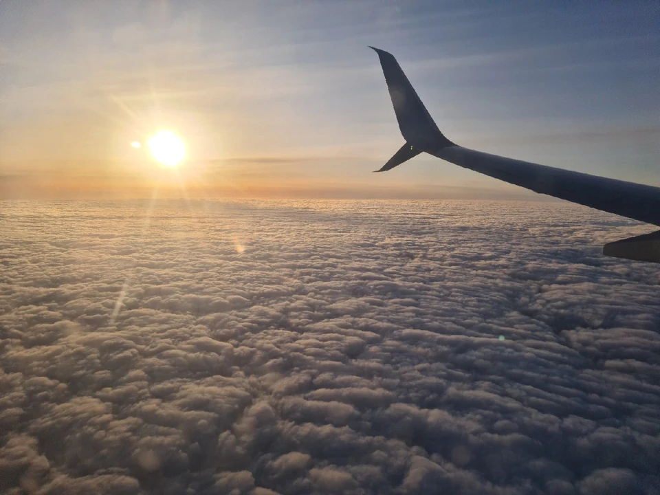 В аэропорту Тюмени экстренно сел самолет из Москвы: причина.