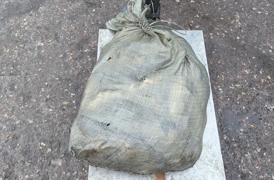 скрин с видео с сайта УМВД по Владимирской области