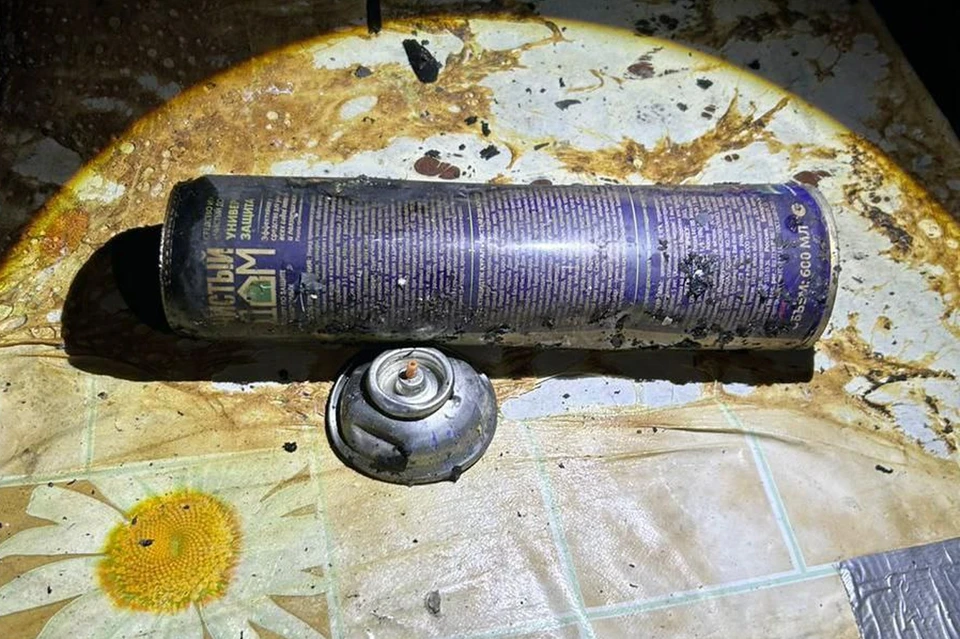 Фото: ГСУ СК России по Красноярскому краю и Республике Хакасия