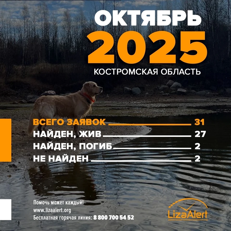 Фото: ДПСО "ЛизаАлерт" Костромской области