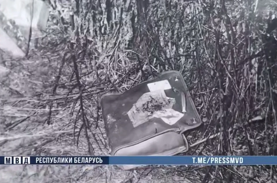 Брат убил сестру по дороге домой со школы. Фото: стоп-кадр | видео МВД.