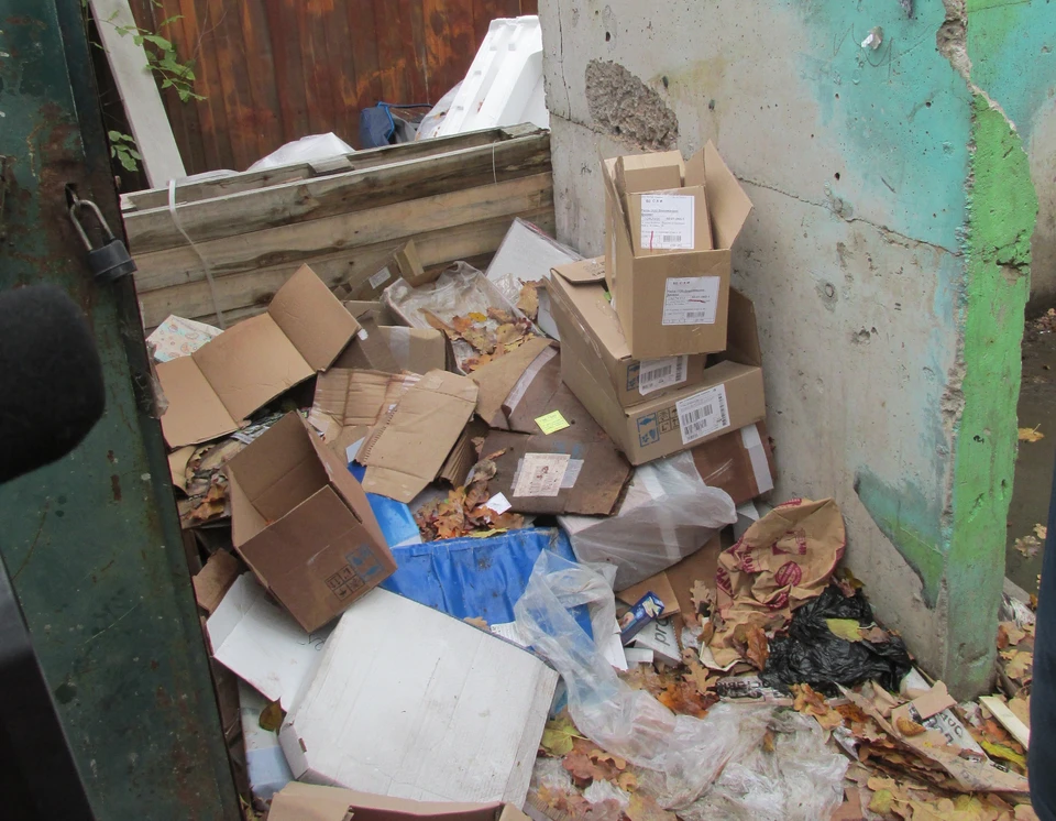 Фото Елены Федяшевой