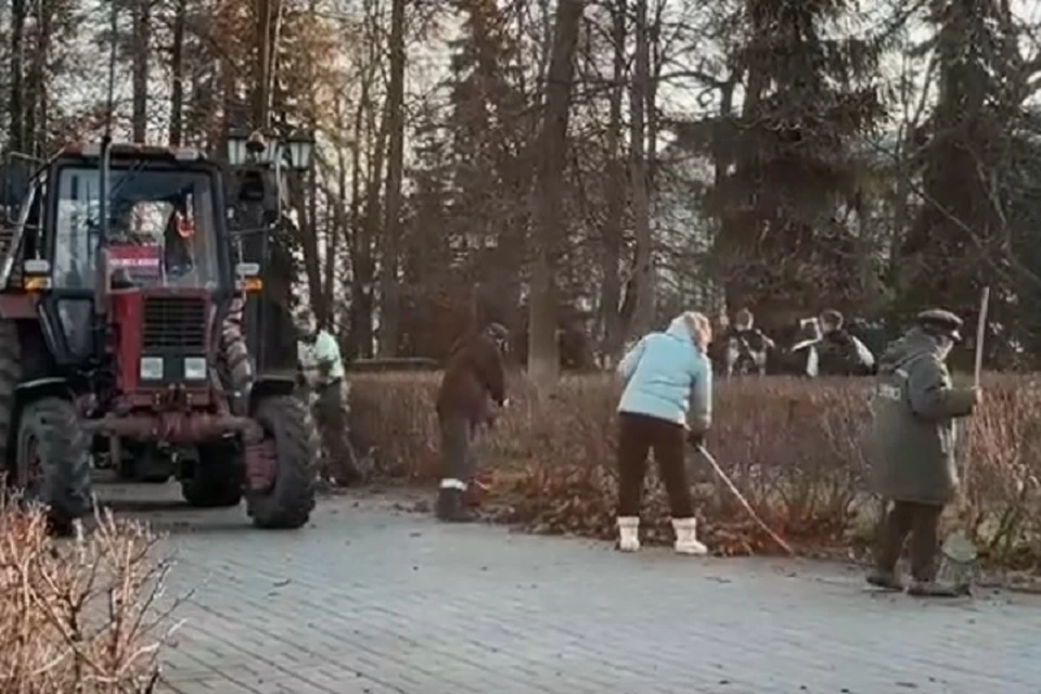 Листья убирают к зиме.